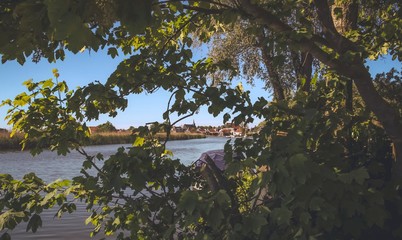 Dutch landscape in the summertime
