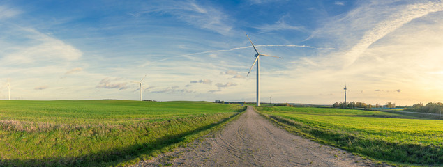 The wind turbines on the field in sunsetlight, panorama