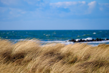 Ostseeküste und bewachsene Dünen