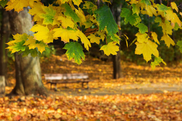 Flying over the bulldozer cranes against the background of the setting sun