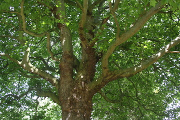 York, England, United Kingdom