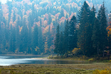 Lake Synevyr autumn view.