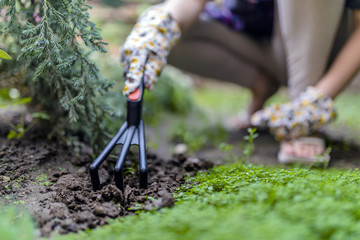 A woman's hand digs soil and soil.  Close-up, Concept of gardening, gardening.