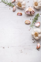 Garlic. Garlic bulbs. Fresh garlic with rosemary and pepper on white concrete board