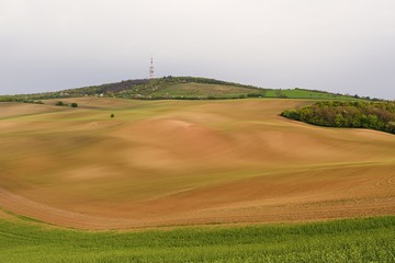 Fototapeta premium Spring landscape. Moravian Tuscany, south Moravia, Czech Republic, Europe.