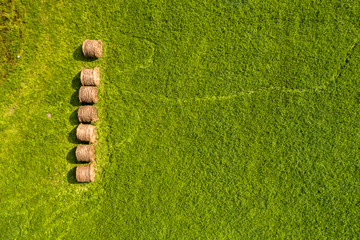 Farming © Maciej