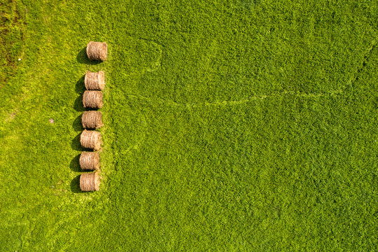 Farming