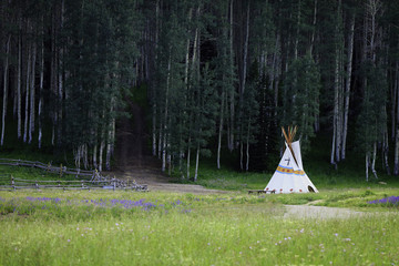 Traditional native american wigwam erected on the edge of the forest