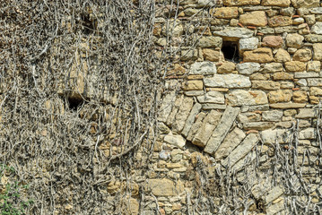 stone texture with arch and ivy dries of the medieval Peratallada town in Gerona, Spain.