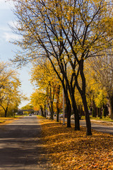 autumn town street scenic
