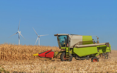 Fototapeta premium Working harvesting combine in the field of corn