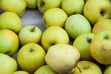 Close-up of green Golden apples for sale at Sineu market, Majorca, Spain