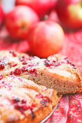 Pie with cranberries and apples