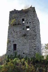 Ruine Montfort