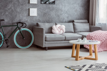 Bicycle, simple couch, coffee table