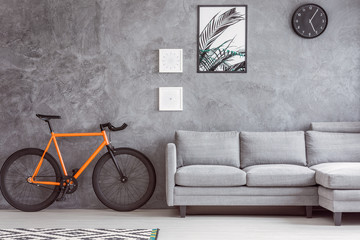 Botanic poster and race bicycle