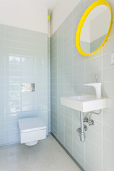 Toilet with toilet seat and sink