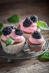 Homemade blackberry cupcake with berries and pink cream
