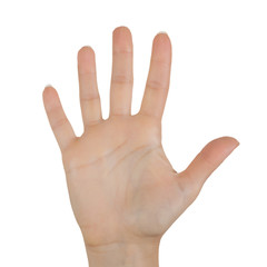 Opened Woman Hand Palm