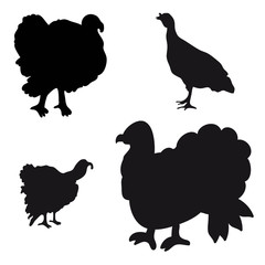 Collection of silhouettes of turkeys.