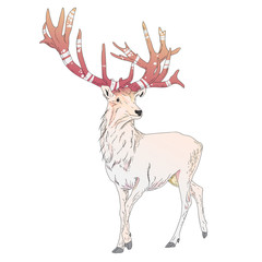 Magical white deer character illustration