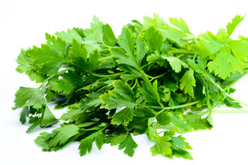Fresh parsley on white background