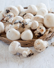 Champignon Mushrooms  on a table
