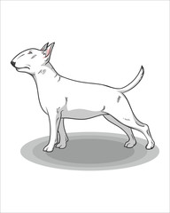 Cartoon of dog-isolated white background