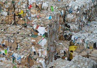 paper recycling center / recycling and waste management