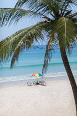 Fototapeta na wymiar Palm on a tropic white beach