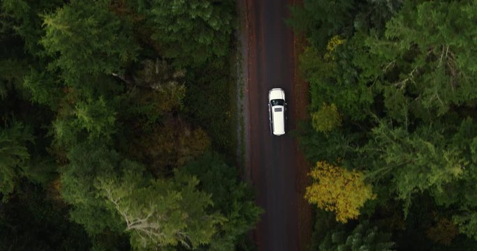 Abstract aerial view of trees in forest from above filmed with a drone