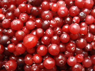 Background of cranberries