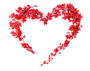 Shape of the Heart from  Red fruits of Barberry
