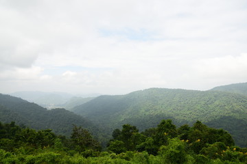 Fototapeta premium The nature of view point at Khao Yai national park in Thailand