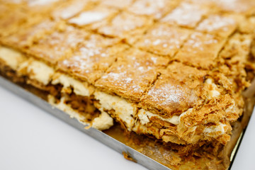 Delicious cheesecake served on steel dish