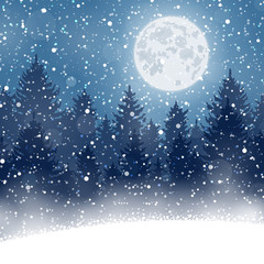 Obraz na płótnie Canvas Winter christmas forest