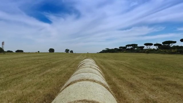 in volo su balle di fieno circolari/campo agricolo lavorato con balle di fieno circolari visto dal drone