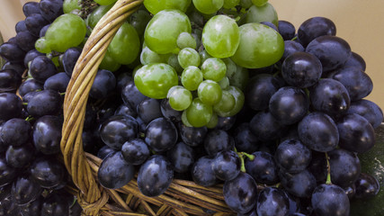 Basket of grapes and vine with green leaves