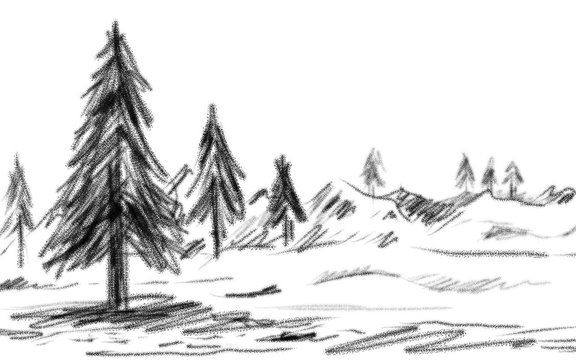 Hand drawn pine tree in the winter with copy space