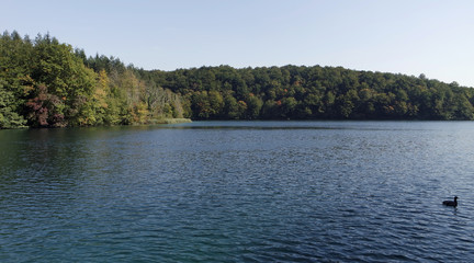 Fototapeta premium amazing landscape at the plitvice lakes in croatia