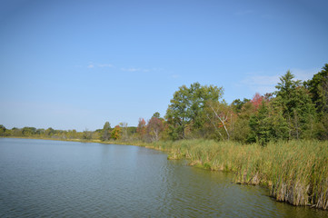 Fototapeta na wymiar Shoreline at the lake during autumn