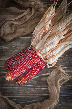Dry red corn on a dark wooden background. Rustic style, top view