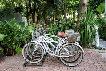 Fototapeta na wymiar Bikes on Rack for Public Vacation Transportation Mexico