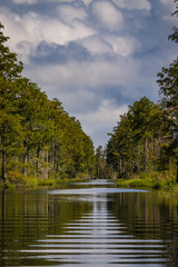 Fototapeta na wymiar open waterway in swamp lined with trees providing a canoe or kayak path 
