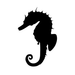 Seahorse, shade picture