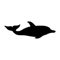 Dolphin, shade picture