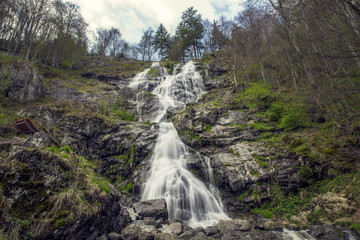 Obraz premium Flowing stream of water of a cascade or waterfall in Germany in springtime