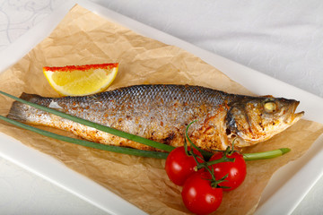 Seabass fish