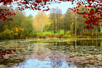 jesień nad leśnym jeziorem - obrazy, fototapety, plakaty