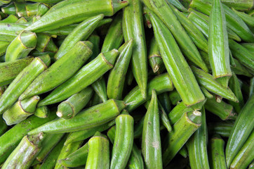 Bright green finger okra